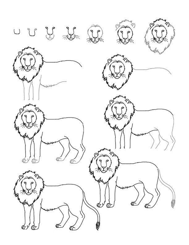 24 Adet Adım Adım Kolay Hayvan çizimleri çizilecek şeyler